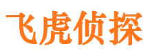 城北侦探公司